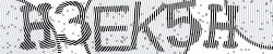 Darstellung des Captcha-Codes.