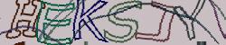 Darstellung des Captcha-Codes.