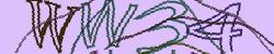 Darstellung des Captcha-Codes.