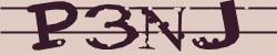 Darstellung des Captcha-Codes.