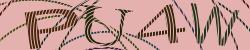 Darstellung des Captcha-Codes.