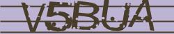 Darstellung des Captcha-Codes.