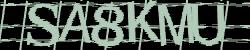 Darstellung des Captcha-Codes.