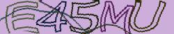 Darstellung des Captcha-Codes.