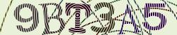 Darstellung des Captcha-Codes.