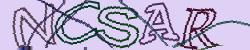 Darstellung des Captcha-Codes.