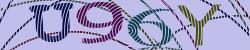 Darstellung des Captcha-Codes.