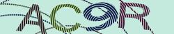 Darstellung des Captcha-Codes.