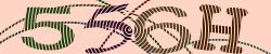 Darstellung des Captcha-Codes.