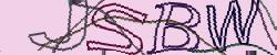 Darstellung des Captcha-Codes.