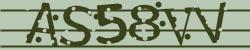 Darstellung des Captcha-Codes.