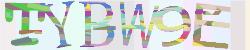 Darstellung des Captcha-Codes.
