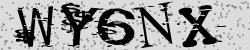 Darstellung des Captcha-Codes.