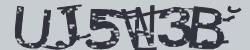 Darstellung des Captcha-Codes.