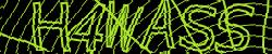 Darstellung des Captcha-Codes.