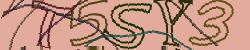 Darstellung des Captcha-Codes.