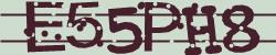 Darstellung des Captcha-Codes.