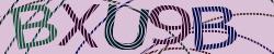 Darstellung des Captcha-Codes.
