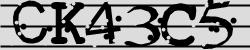 Darstellung des Captcha-Codes.