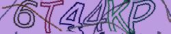 Darstellung des Captcha-Codes.