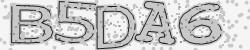 Darstellung des Captcha-Codes.