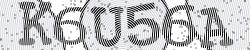 Darstellung des Captcha-Codes.