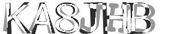 Darstellung des Captcha-Codes.
