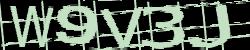 Darstellung des Captcha-Codes.