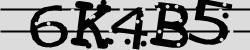 Darstellung des Captcha-Codes.