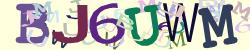Darstellung des Captcha-Codes.