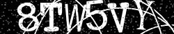 Darstellung des Captcha-Codes.