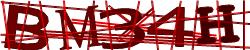 Darstellung des Captcha-Codes.