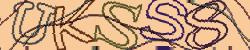 Darstellung des Captcha-Codes.