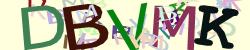 Darstellung des Captcha-Codes.