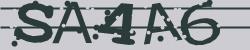 Darstellung des Captcha-Codes.