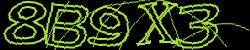 Darstellung des Captcha-Codes.