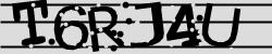 Darstellung des Captcha-Codes.