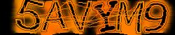 Darstellung des Captcha-Codes.