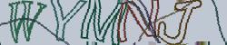 Darstellung des Captcha-Codes.