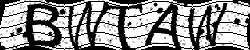 Darstellung des Captcha-Codes.