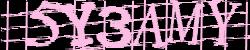 Darstellung des Captcha-Codes.