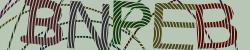 Darstellung des Captcha-Codes.