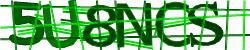Darstellung des Captcha-Codes.