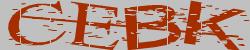 Darstellung des Captcha-Codes.
