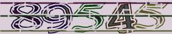 Darstellung des Captcha-Codes.