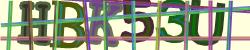 Darstellung des Captcha-Codes.