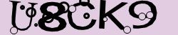 Darstellung des Captcha-Codes.
