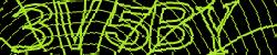 Darstellung des Captcha-Codes.