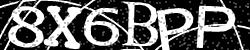 Darstellung des Captcha-Codes.
