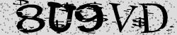 Darstellung des Captcha-Codes.